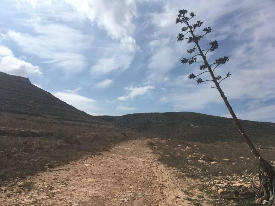 Cortijo Los Garridos - 8 Huespedes Fernan Perez ภายนอก รูปภาพ
